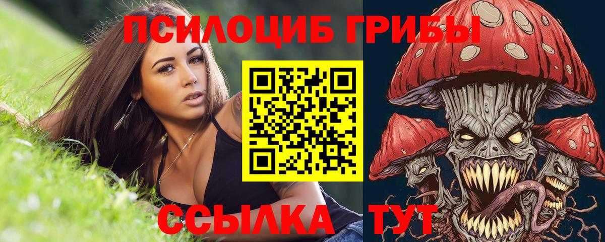 Галлюциногенные грибы мицелий Барабинск