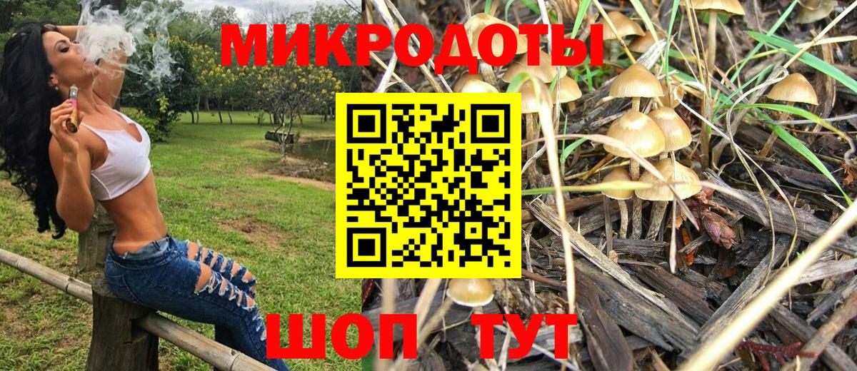 Барабинск  Псилоцибиновые грибы мухоморы  как найти закладки  Вход с VPN 